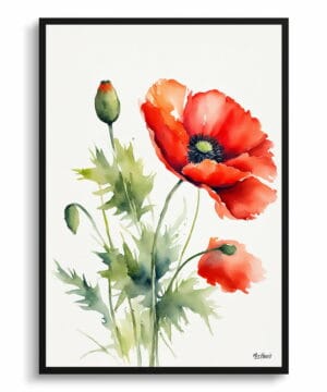 Common Flanders Watercolour Botanical Art Print - Poppy Minimalist Framed Plant Wall Art 22 Common Flanders Watercolour Botanical Art Print - Poppy Minimalist Framed Plant Wall Art - Image 9