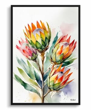 King Protea Sugarbush Watercolour Botanical Art Print - Proteas Framed Plant Wall Art 18 King Protea Sugarbush Watercolour Botanical Art Print - Proteas Framed Plant Wall Art - Image 5