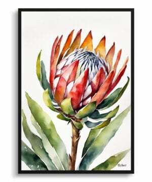 King Protea Sugarbush Watercolour Botanical Art Print - Proteas Minimalist Framed Plant Wall Art 22 King Protea Sugarbush Watercolour Botanical Art Print - Proteas Minimalist Framed Plant Wall Art - Image 9