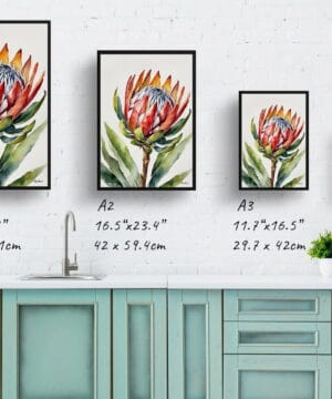 King Protea Sugarbush Watercolour Botanical Art Print - Proteas Minimalist Framed Plant Wall Art 25 King Protea Sugarbush Watercolour Botanical Art Print - Proteas Minimalist Framed Plant Wall Art - Image 12