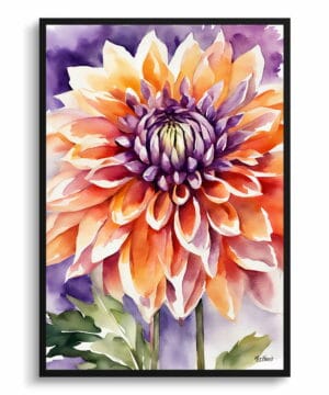 Asteraceae Watercolour Botanical Art Print - Purple and orange dahlia Framed Plant Wall Art 18 Asteraceae Watercolour Botanical Art Print - Purple and orange dahlia Framed Plant Wall Art - Image 5