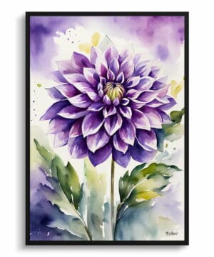 Asteraceae Watercolour Botanical Art Print - Purple dahlia Framed Plant Wall Art 22 Asteraceae Watercolour Botanical Art Print - Purple dahlia Framed Plant Wall Art - Image 9