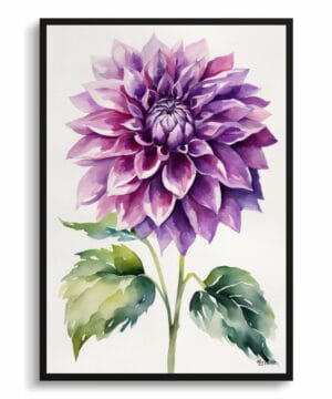Asteraceae Watercolour Botanical Art Print - Purple dahlia Minimalist Framed Plant Wall Art 18 watercolour botanical print flowers purple dahlia minimalist front view