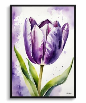 Tulipa Lady Watercolour Botanical Art Print - Purple tulip Framed Plant Wall Art 22 Tulipa Lady Watercolour Botanical Art Print - Purple tulip Framed Plant Wall Art - Image 9