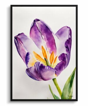 Tulipa Lady Watercolour Botanical Art Print - Purple tulip Minimalist Framed Plant Wall Art 22 Tulipa Lady Watercolour Botanical Art Print - Purple tulip Minimalist Framed Plant Wall Art - Image 9
