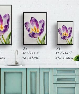 Tulipa Lady Watercolour Botanical Art Print - Purple tulip Minimalist Framed Plant Wall Art 25 Tulipa Lady Watercolour Botanical Art Print - Purple tulip Minimalist Framed Plant Wall Art - Image 12