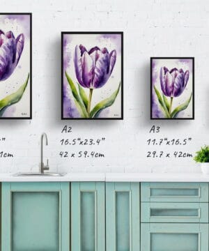 Tulipa Lady Watercolour Botanical Art Print - Purple tulip Framed Plant Wall Art 25 Tulipa Lady Watercolour Botanical Art Print - Purple tulip Framed Plant Wall Art - Image 12