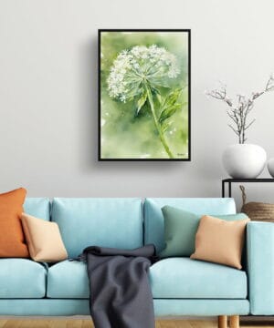 Wild carrot Watercolour Botanical Art Print - Queen Annes lace Framed Plant Wall Art 23 Wild carrot Watercolour Botanical Art Print - Queen Annes lace Framed Plant Wall Art - Image 10