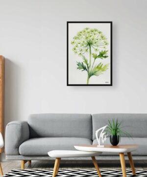 Wild carrot Watercolour Botanical Art Print - Queen Annes lace Minimalist Framed Plant Wall Art 24 Wild carrot Watercolour Botanical Art Print - Queen Annes lace Minimalist Framed Plant Wall Art - Image 11