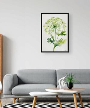 Wild carrot Watercolour Botanical Art Print - Queen Annes lace Minimalist Framed Plant Wall Art 20 Wild carrot Watercolour Botanical Art Print - Queen Annes lace Minimalist Framed Plant Wall Art - Image 7