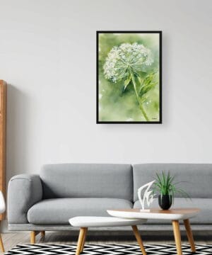 Wild carrot Watercolour Botanical Art Print - Queen Annes lace Framed Plant Wall Art 24 Wild carrot Watercolour Botanical Art Print - Queen Annes lace Framed Plant Wall Art - Image 11