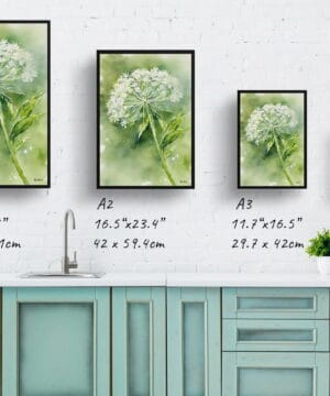 Wild carrot Watercolour Botanical Art Print - Queen Annes lace Framed Plant Wall Art 25 Wild carrot Watercolour Botanical Art Print - Queen Annes lace Framed Plant Wall Art - Image 12