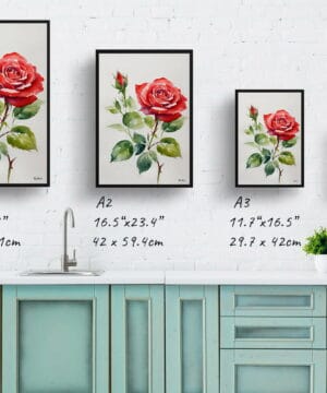 Garden Watercolour Botanical Art Print - Red rose Minimalist Framed Plant Wall Art 21 Garden Watercolour Botanical Art Print - Red rose Minimalist Framed Plant Wall Art - Image 8