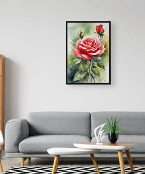 Garden Watercolour Botanical Art Print - Red rose Framed Plant Wall Art 20 Garden Watercolour Botanical Art Print - Red rose Framed Plant Wall Art - Image 7