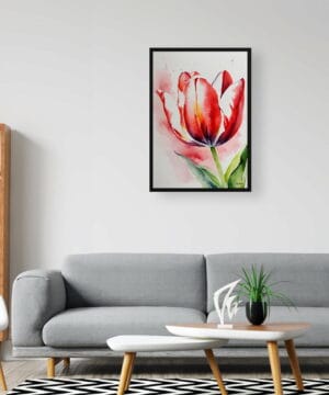 Tulipa Watercolour Botanical Art Print - Red tulip Framed Plant Wall Art 24 Tulipa Watercolour Botanical Art Print - Red tulip Framed Plant Wall Art - Image 11