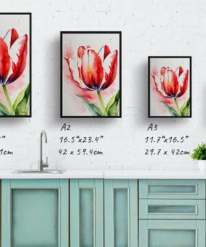 Tulipa Watercolour Botanical Art Print - Red tulip Framed Plant Wall Art 25 Tulipa Watercolour Botanical Art Print - Red tulip Framed Plant Wall Art - Image 12