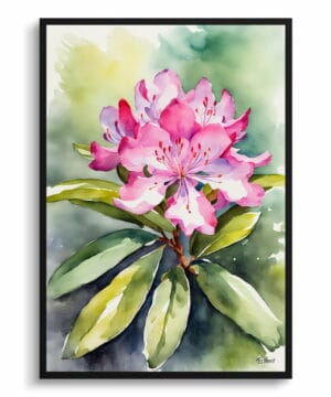 Azalea Watercolour Botanical Art Print - Rhododendron Framed Plant Wall Art 22 Azalea Watercolour Botanical Art Print - Rhododendron Framed Plant Wall Art - Image 9