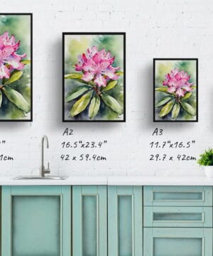 Azalea Watercolour Botanical Art Print - Rhododendron Framed Plant Wall Art 25 Azalea Watercolour Botanical Art Print - Rhododendron Framed Plant Wall Art - Image 12