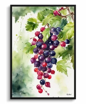 Blackcurrant Watercolour Botanical Art Print - Ribes Nigrum Cassissima Noiroma Framed Plant Wall Art 22 Blackcurrant Watercolour Botanical Art Print - Ribes Nigrum Cassissima Noiroma Framed Plant Wall Art - Image 9