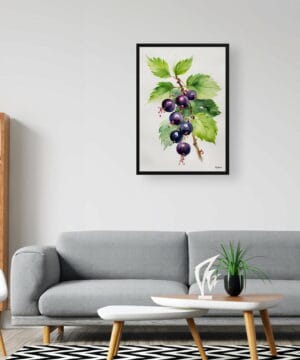 Blackcurrant Watercolour Botanical Art Print - Ribes Nigrum Cassissima Noiroma Minimalist Framed Plant Wall Art 20 Blackcurrant Watercolour Botanical Art Print - Ribes Nigrum Cassissima Noiroma Minimalist Framed Plant Wall Art - Image 7