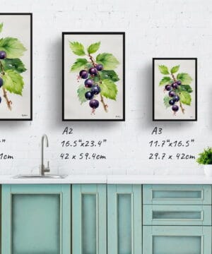 Blackcurrant Watercolour Botanical Art Print - Ribes Nigrum Cassissima Noiroma Minimalist Framed Plant Wall Art 21 Blackcurrant Watercolour Botanical Art Print - Ribes Nigrum Cassissima Noiroma Minimalist Framed Plant Wall Art - Image 8