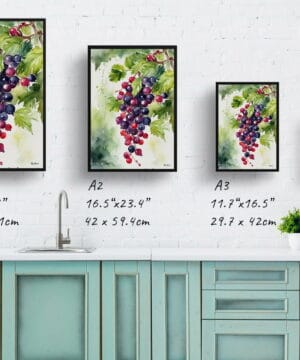 Blackcurrant Watercolour Botanical Art Print - Ribes Nigrum Cassissima Noiroma Framed Plant Wall Art 21 Blackcurrant Watercolour Botanical Art Print - Ribes Nigrum Cassissima Noiroma Framed Plant Wall Art - Image 8