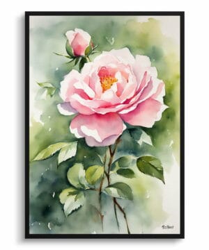 Rose Watercolour Botanical Art Print - Rosa Madame Alfred Carriére Framed Plant Wall Art 25 Rose Watercolour Botanical Art Print - Rosa Madame Alfred Carriére Framed Plant Wall Art - Image 12