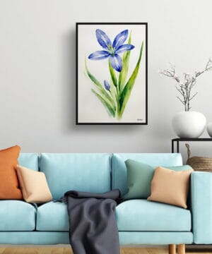 Alpine Squill Watercolour Botanical Art Print - Scilla Bifolia Minimalist Framed Plant Wall Art 19 Alpine Squill Watercolour Botanical Art Print - Scilla Bifolia Minimalist Framed Plant Wall Art - Image 6