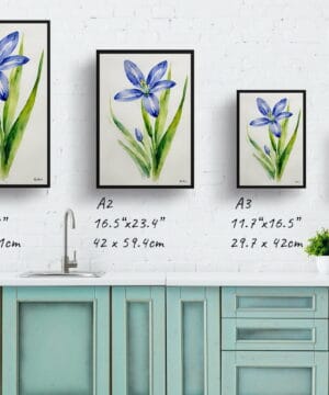 Alpine Squill Watercolour Botanical Art Print - Scilla Bifolia Minimalist Framed Plant Wall Art 21 Alpine Squill Watercolour Botanical Art Print - Scilla Bifolia Minimalist Framed Plant Wall Art - Image 8