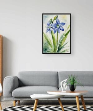 Alpine Squill Watercolour Botanical Art Print - Scilla Bifolia Framed Plant Wall Art 20 Alpine Squill Watercolour Botanical Art Print - Scilla Bifolia Framed Plant Wall Art - Image 7