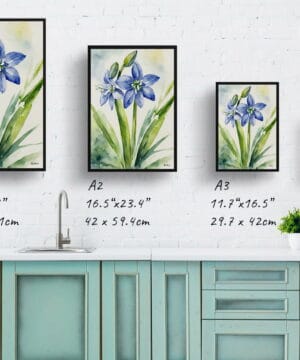Alpine Squill Watercolour Botanical Art Print - Scilla Bifolia Framed Plant Wall Art 25 Alpine Squill Watercolour Botanical Art Print - Scilla Bifolia Framed Plant Wall Art - Image 12