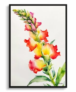 Dragon flower Watercolour Botanical Art Print - Snapdragon Minimalist Framed Plant Wall Art 18 Dragon flower Watercolour Botanical Art Print - Snapdragon Minimalist Framed Plant Wall Art - Image 5