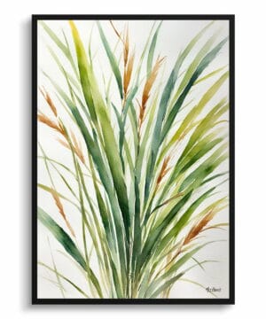 Peruvian feather grass Watercolour Botanical Art Print - Stipa ichu Minimalist Framed Plant Wall Art 18 Peruvian feather grass Watercolour Botanical Art Print - Stipa ichu Minimalist Framed Plant Wall Art - Image 5