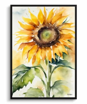 Helianthus Watercolour Botanical Art Print - Sunflower Framed Plant Wall Art 18 Helianthus Watercolour Botanical Art Print - Sunflower Framed Plant Wall Art - Image 5