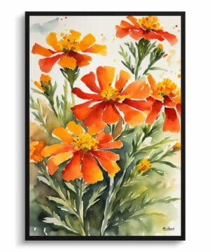 African Marigold Watercolour Botanical Art Print - Tagetes Cinnabar Framed Plant Wall Art 18 African Marigold Watercolour Botanical Art Print - Tagetes Cinnabar Framed Plant Wall Art - Image 5