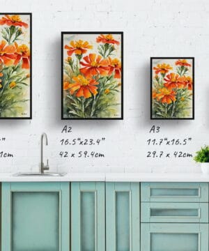 African Marigold Watercolour Botanical Art Print - Tagetes Cinnabar Framed Plant Wall Art 21 African Marigold Watercolour Botanical Art Print - Tagetes Cinnabar Framed Plant Wall Art - Image 8
