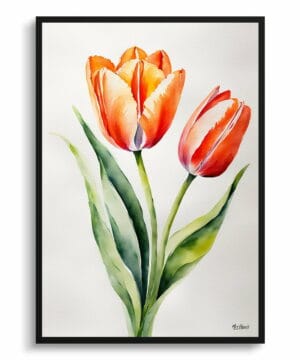 Tulip Watercolour Botanical Art Print - Tulipa Salmon Impression Minimalist Framed Plant Wall Art 18 Tulip Watercolour Botanical Art Print - Tulipa Salmon Impression Minimalist Framed Plant Wall Art - Image 5
