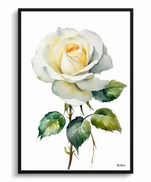 Alba Watercolour Botanical Art Print - White rose Minimalist Framed Plant Wall Art 18 Alba Watercolour Botanical Art Print - White rose Minimalist Framed Plant Wall Art - Image 5