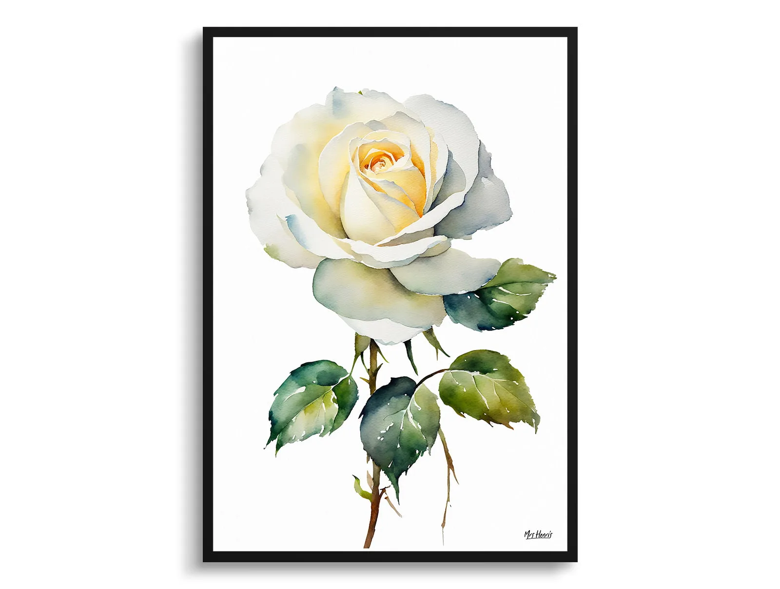 Alba Watercolour Botanical Art Print - White rose Minimalist Framed Plant Wall Art 7 Alba Watercolour Botanical Art Print - White rose Minimalist Framed Plant Wall Art - Image 5