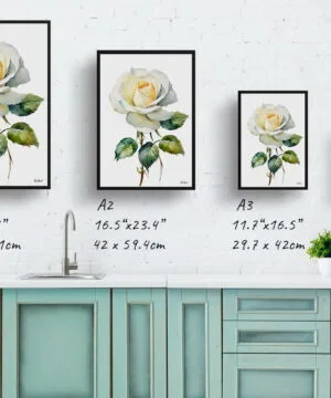 Alba Watercolour Botanical Art Print - White rose Minimalist Framed Plant Wall Art 21 Alba Watercolour Botanical Art Print - White rose Minimalist Framed Plant Wall Art - Image 8