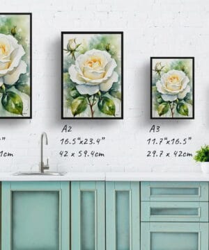Alba Watercolour Botanical Art Print - White rose Framed Plant Wall Art 21 Alba Watercolour Botanical Art Print - White rose Framed Plant Wall Art - Image 8