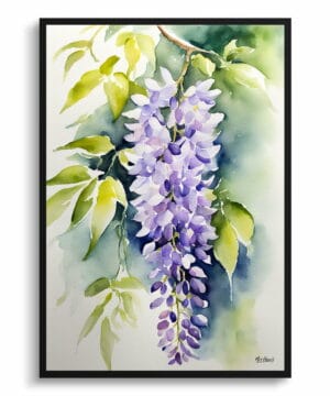 Burford Watercolour Botanical Art Print - Wisteria x Valderi Framed Plant Wall Art 18 Burford Watercolour Botanical Art Print - Wisteria x Valderi Framed Plant Wall Art - Image 5