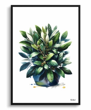 Bay Laurel (Laurus nobilisl) Watercolour Painting Style Art Print - Illustration Framed Plant Wall Art 22 Bay Laurel (Laurus nobilisl) Watercolour Painting Style Art Print - Illustration Framed Plant Wall Art - Image 9