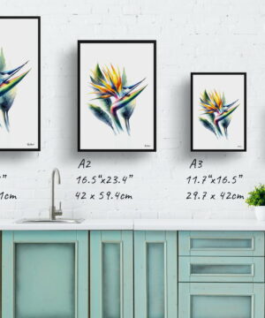 Bird of Paradise (Strelitzia) Watercolour Painting Style Art Print - Illustration Framed Plant Wall Art 21 Bird of Paradise (Strelitzia) Watercolour Painting Style Art Print - Illustration Framed Plant Wall Art - Image 8