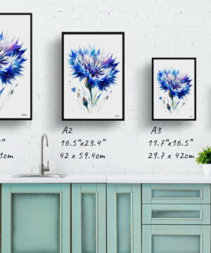Cornflower (Centaurea cyanus) Watercolour Painting Style Art Print - Illustration Framed Plant Wall Art 25 Cornflower (Centaurea cyanus) Watercolour Painting Style Art Print - Illustration Framed Plant Wall Art - Image 12