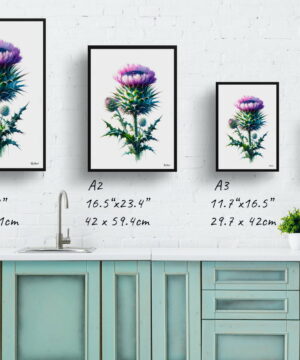 Cotton thistle (Onopordum) Watercolour Painting Style Art Print - Illustration Framed Plant Wall Art 21 Cotton thistle (Onopordum) Watercolour Painting Style Art Print - Illustration Framed Plant Wall Art - Image 8