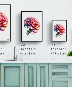 Dianthus caryophyllus (Carnation) Watercolour Painting Style Art Print - Illustration Framed Plant Wall Art 25 Dianthus caryophyllus (Carnation) Watercolour Painting Style Art Print - Illustration Framed Plant Wall Art - Image 12