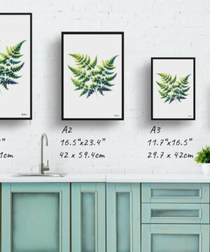 Five-fingered maidenhair fern (Adiantum pedatum) Watercolour Painting Style Art Print - Illustration Framed Plant Wall Art 25 Five-fingered maidenhair fern (Adiantum pedatum) Watercolour Painting Style Art Print - Illustration Framed Plant Wall Art - Image 12