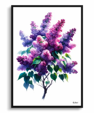 Lilac (Syringa vulgaris) Watercolour Painting Style Art Print - Illustration Framed Plant Wall Art 22 Lilac (Syringa vulgaris) Watercolour Painting Style Art Print - Illustration Framed Plant Wall Art - Image 9