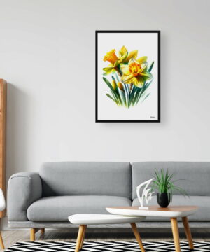 Narcissus Jonquil (Daffodil) Watercolour Painting Style Art Print - Illustration Framed Plant Wall Art - Image 11